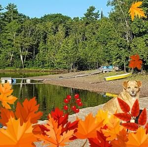 Meet your Posher, Kevin